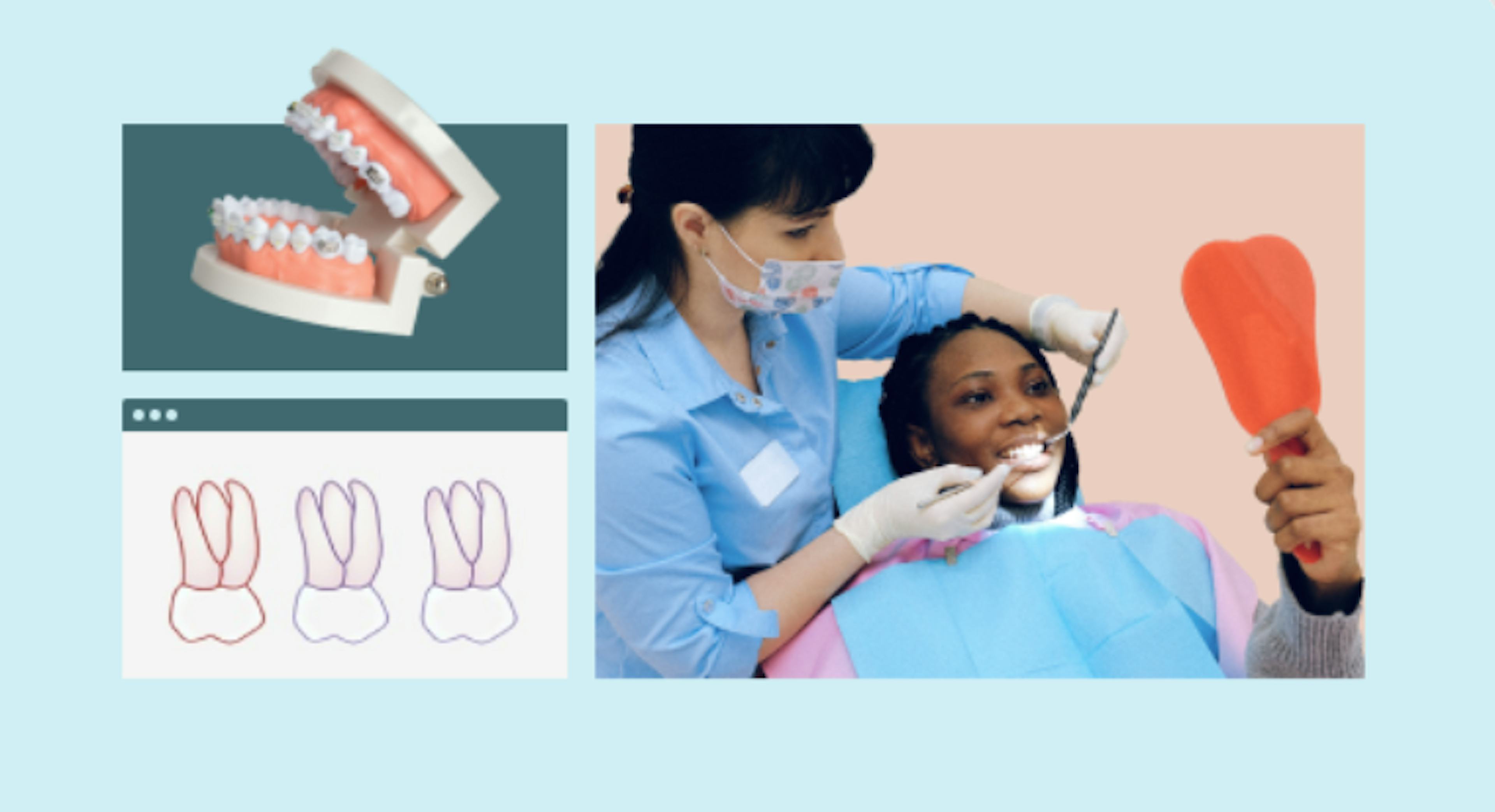 Dental School Application Bootcamp