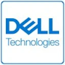 Dell Services\ Stellaris Health Network Logo