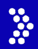 Code2040 Logo