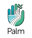 Palm Logo