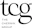 The Chernin Group Logo