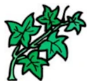 Ivy League Test Prep Logo