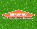 Servpro Elite Logo