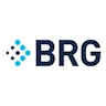 Berkeley Research Group Logo