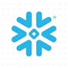 Snowflake Logo