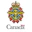 Canadian Armed Forces Logo