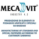 MECAVIT S.r.l. Logo