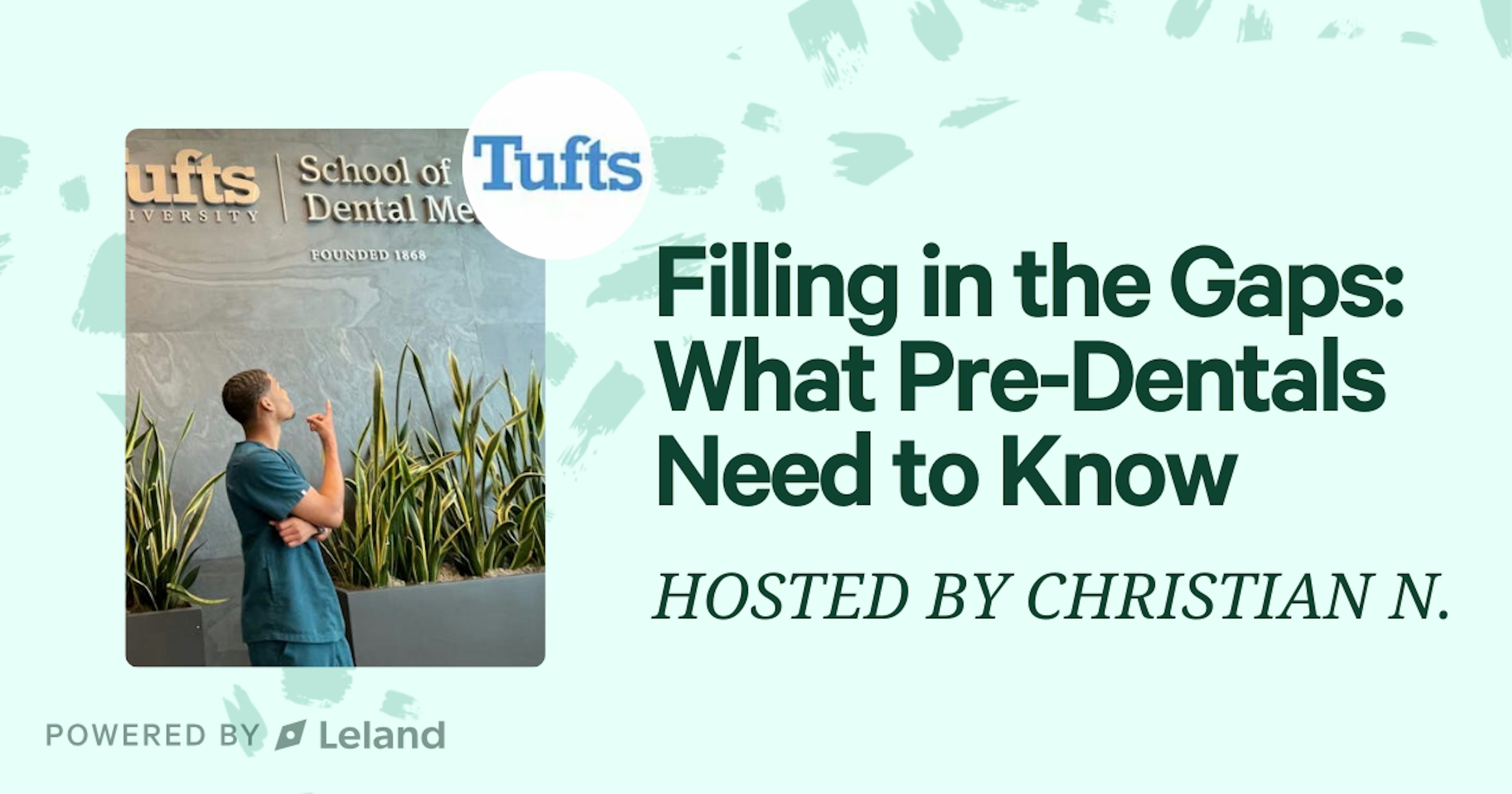 Filling in the Gaps: What Pre-Dentals Need to Know