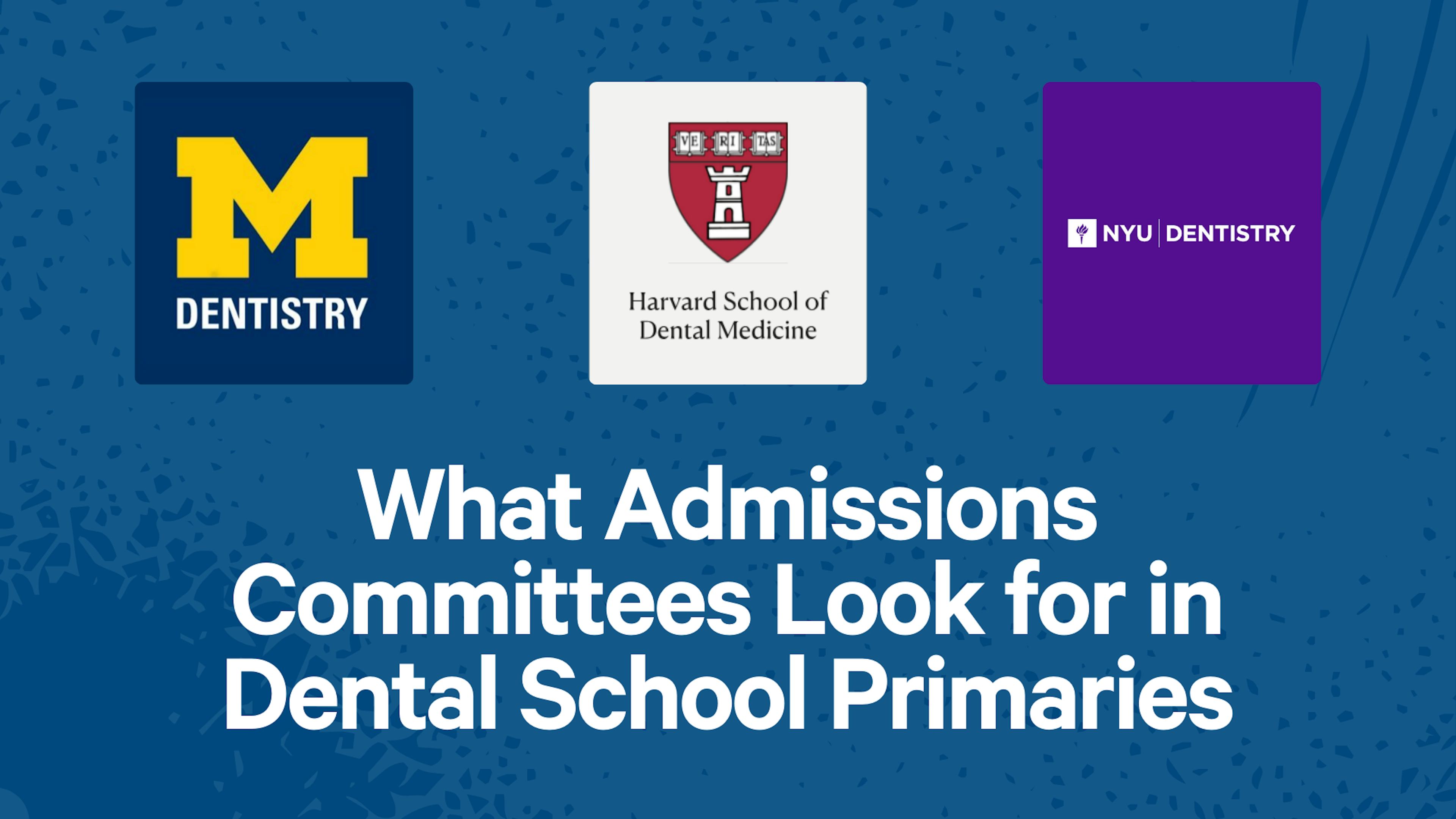 What Admissions Committees Look for in Dental School Primaries