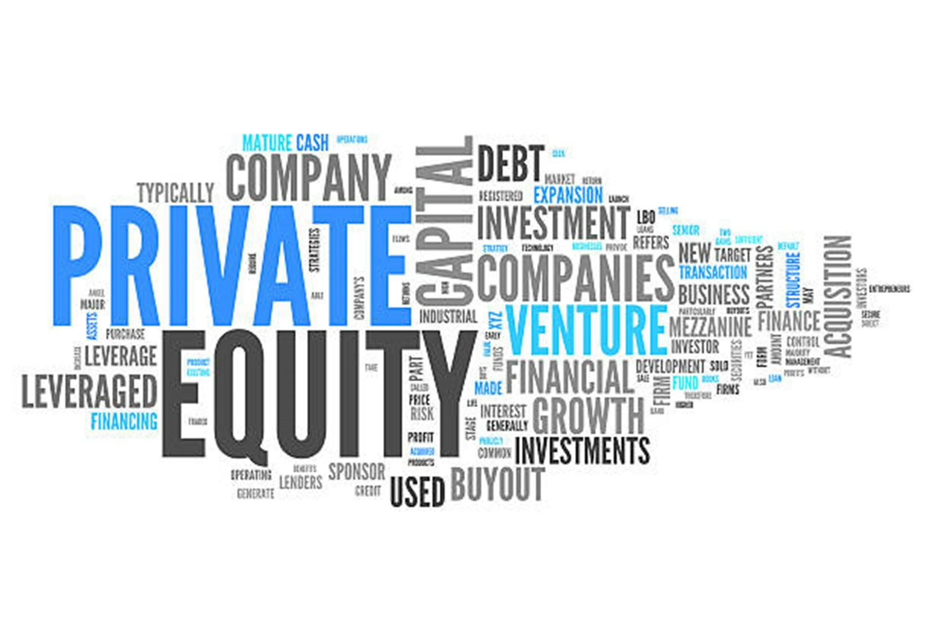 Learn about the ins and outs of Private Equity! [Overview Course]