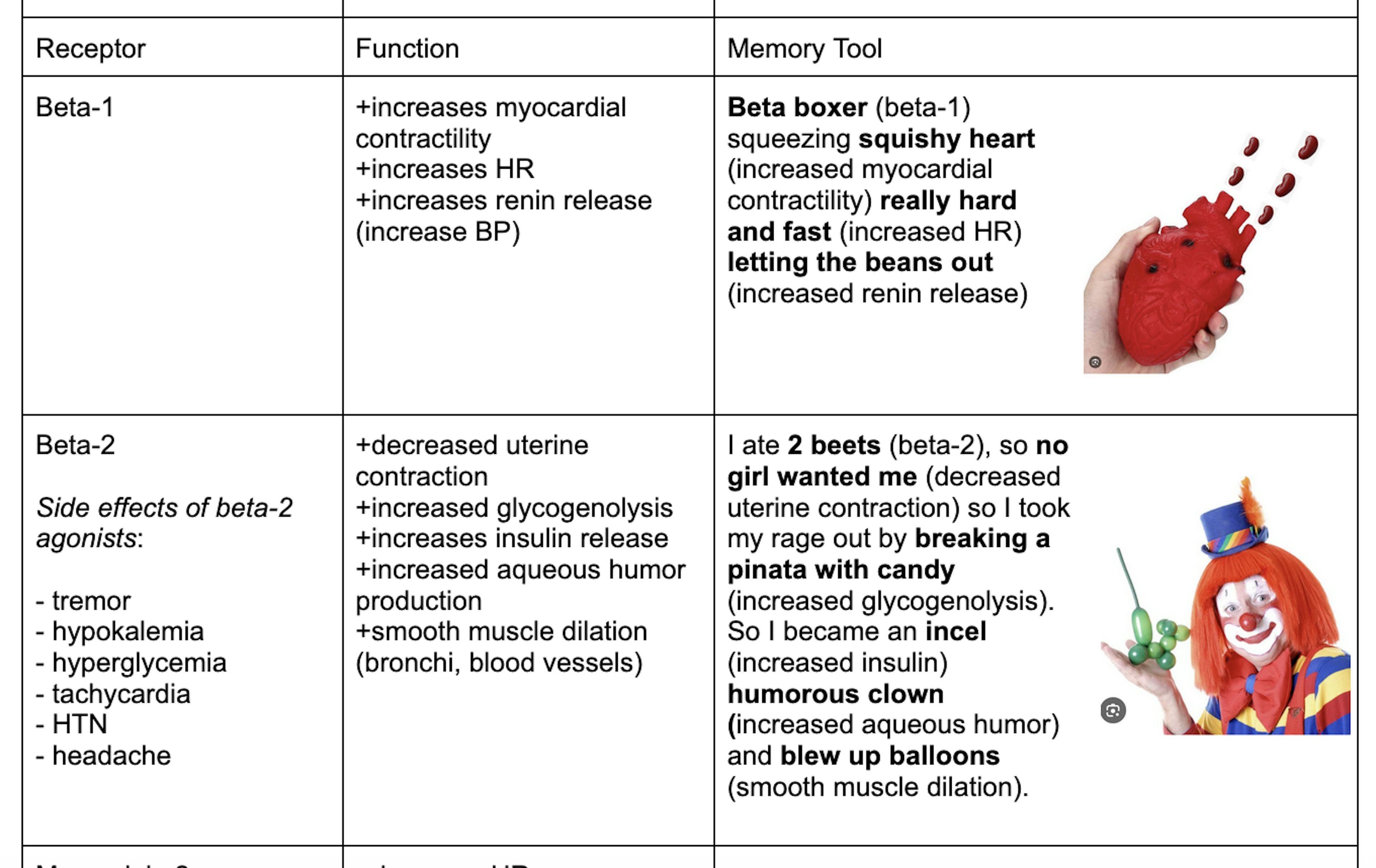 USMLE Tutoring Package