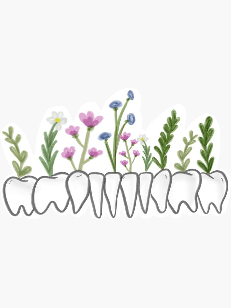 Ace the Interview: Dental School Edition