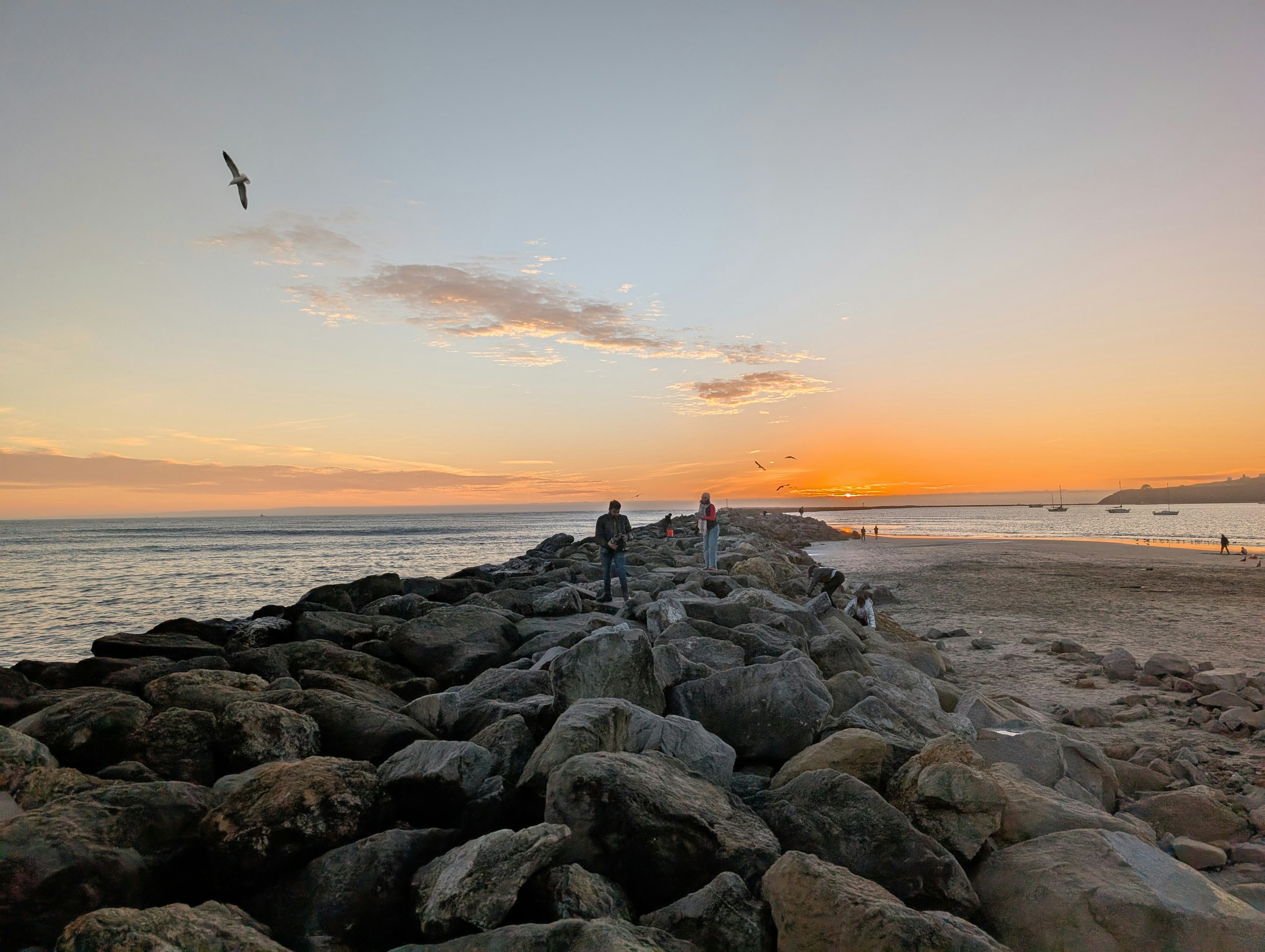 Find Your Path: Discover What's Next in Your Career