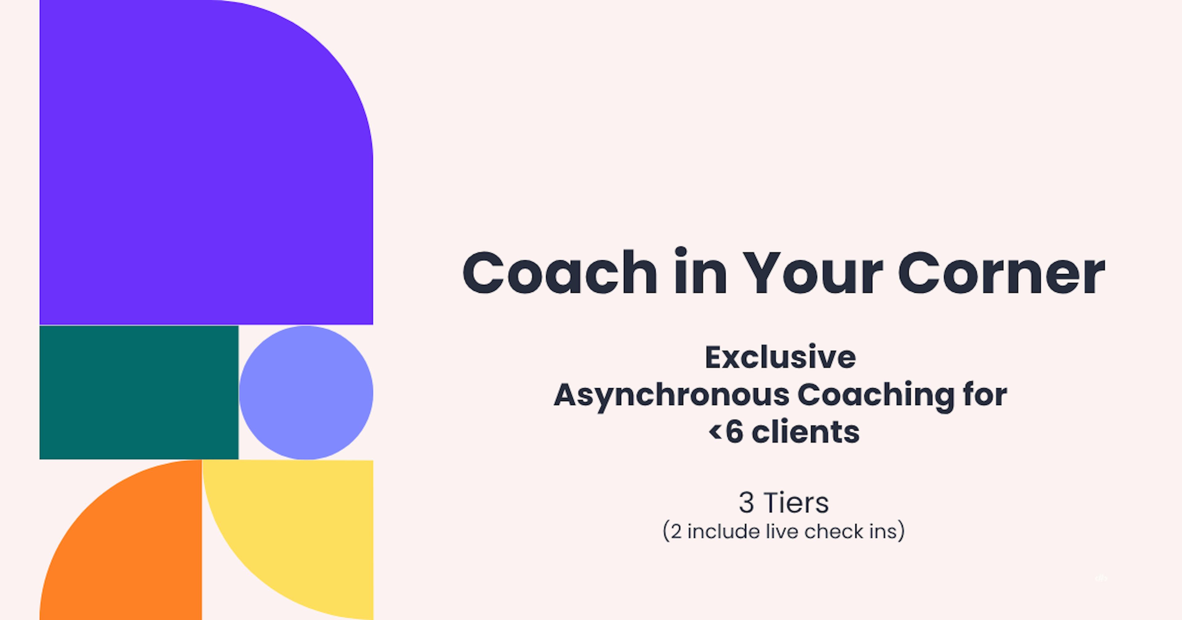 Exclusive Asynchronous Coaching (limited availability) - AKA Sanity Check