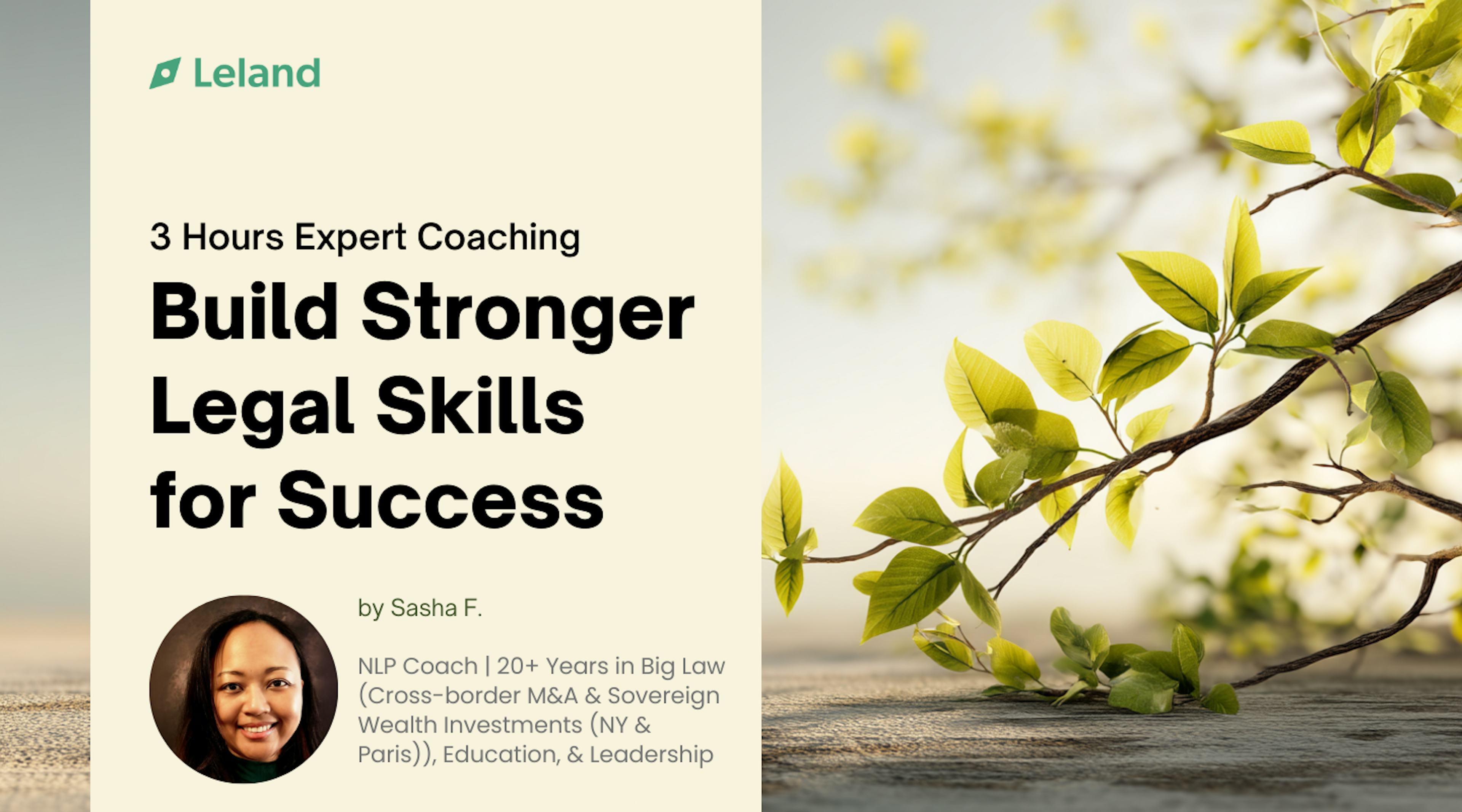 Build Stronger Legal Skills for Success with a Former BigLaw M&A Lawyer
