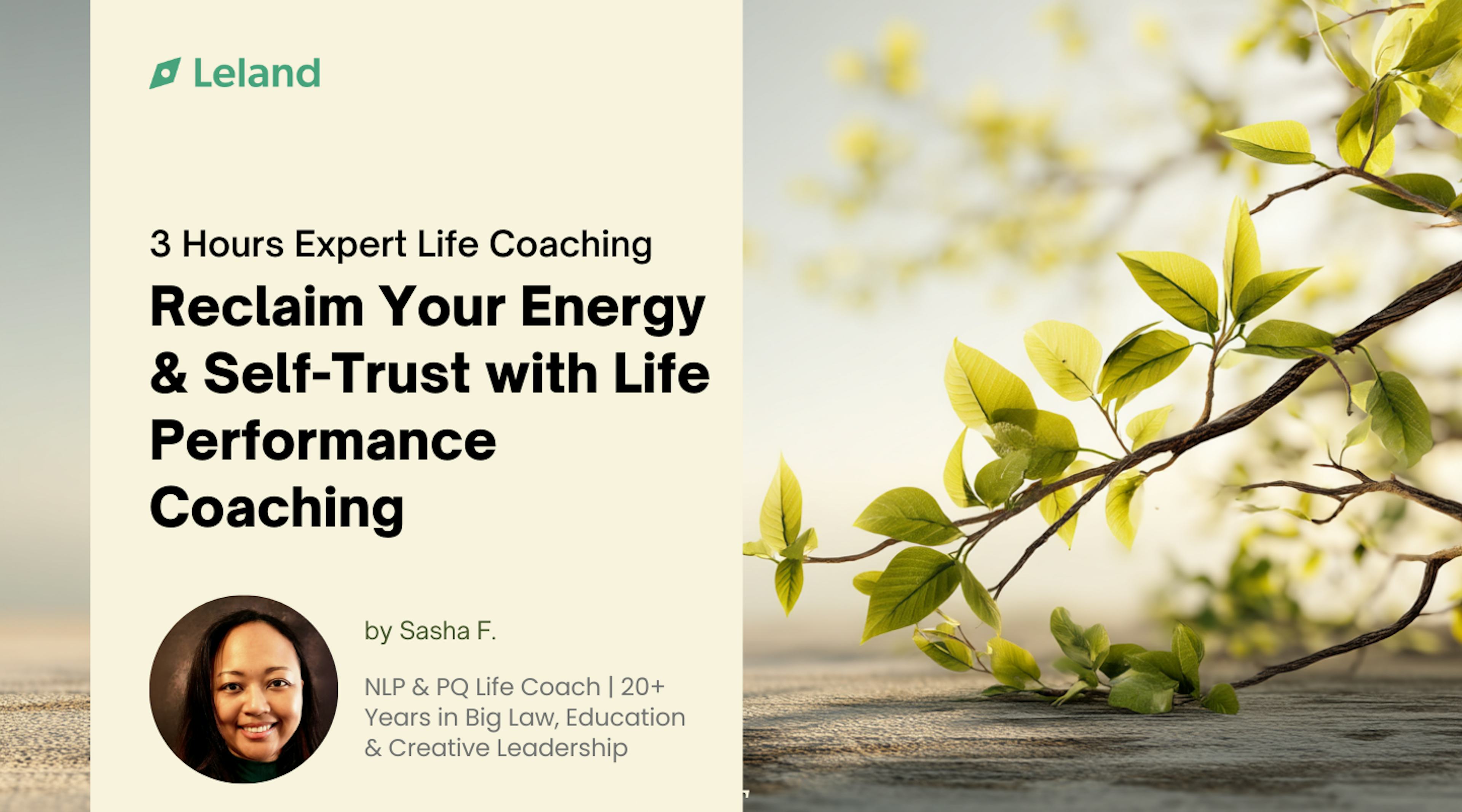 Reclaim Your Energy & Self-Trust with Life Performance Coaching