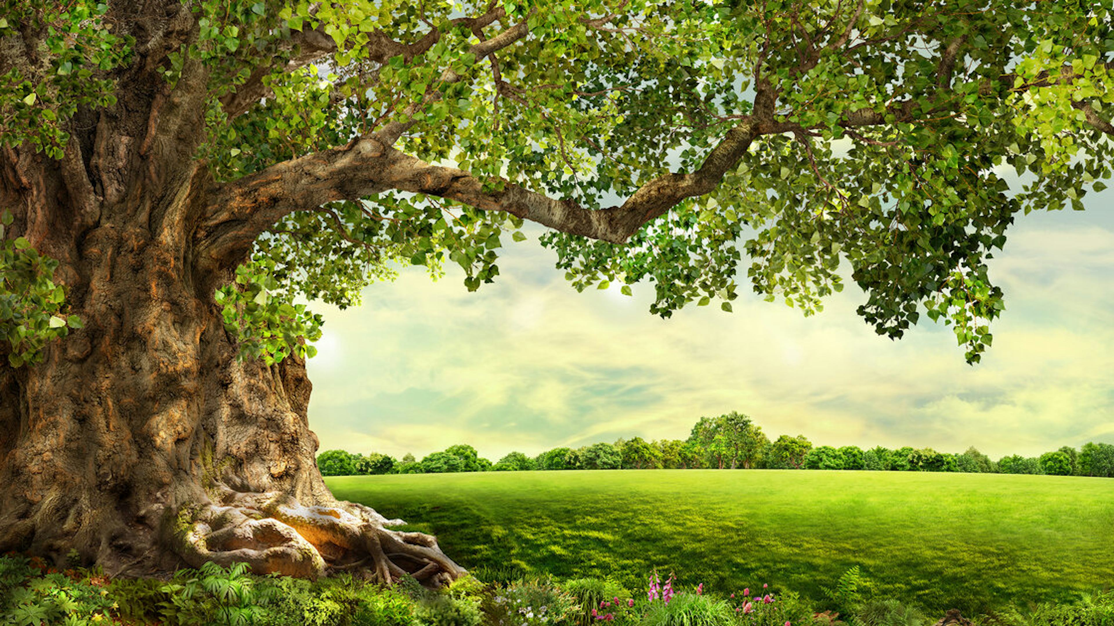 1 hour LSAT lesson and strategy building