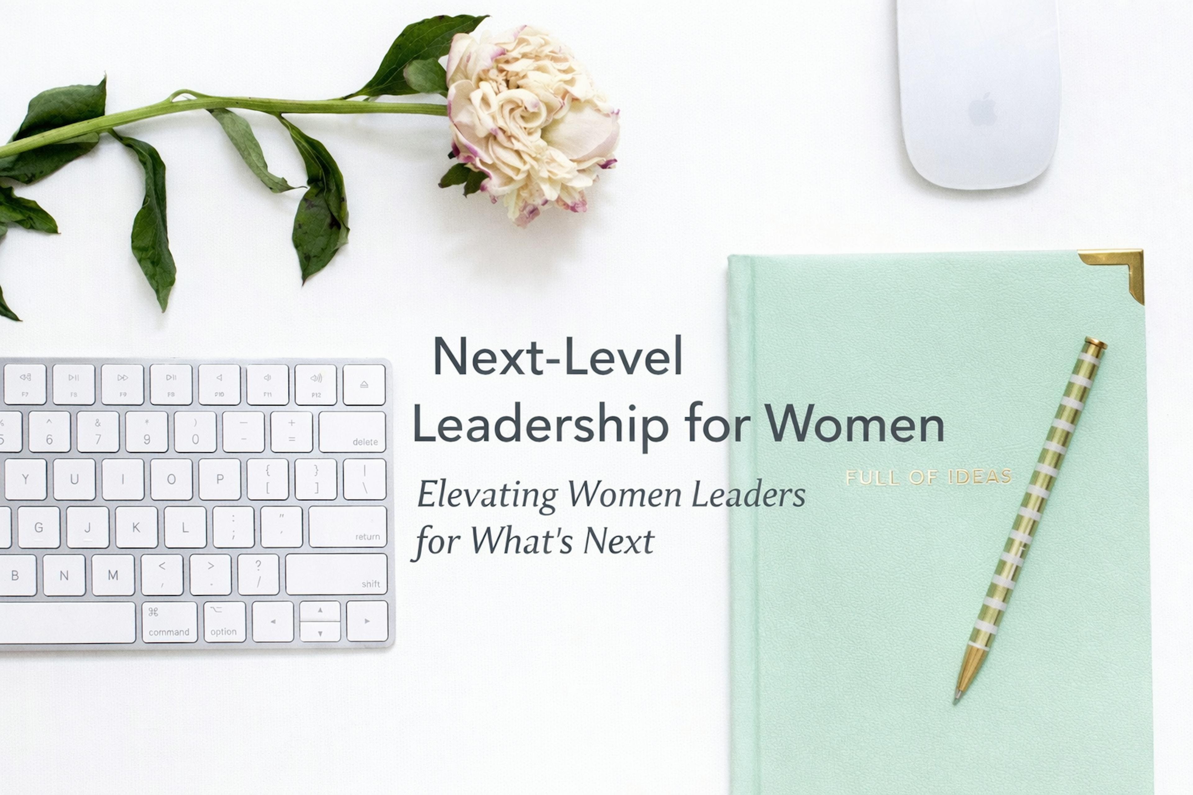 New Level Leadership For Women