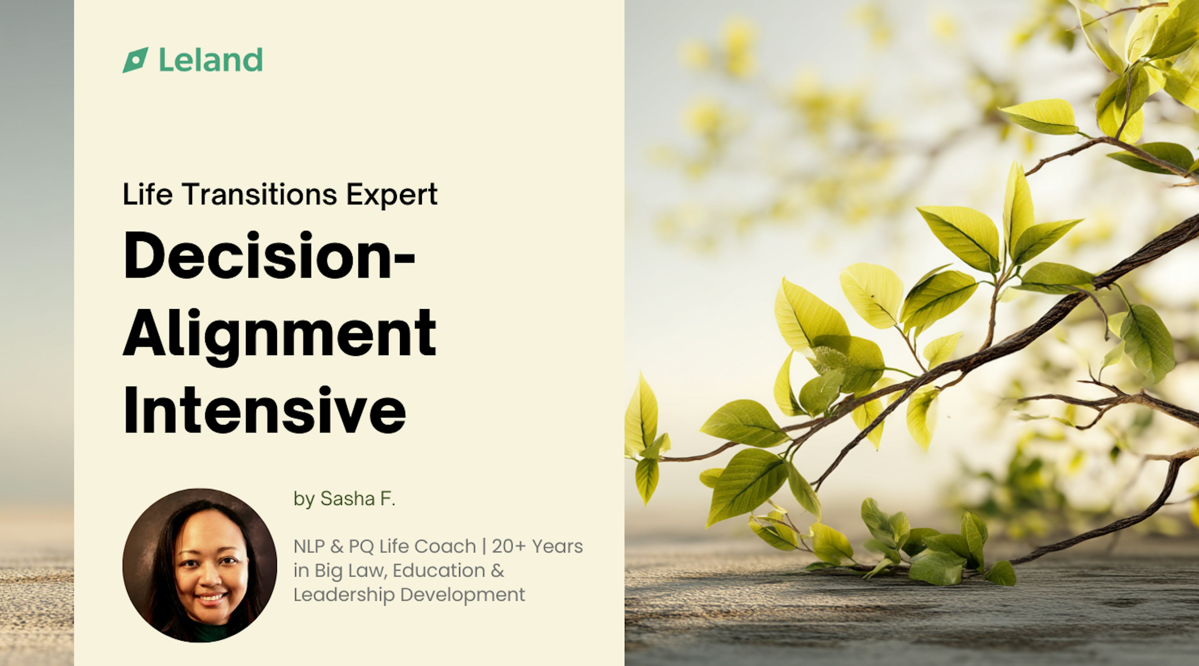 Decision Alignment Intensive: Stop Circling. Start Deciding.