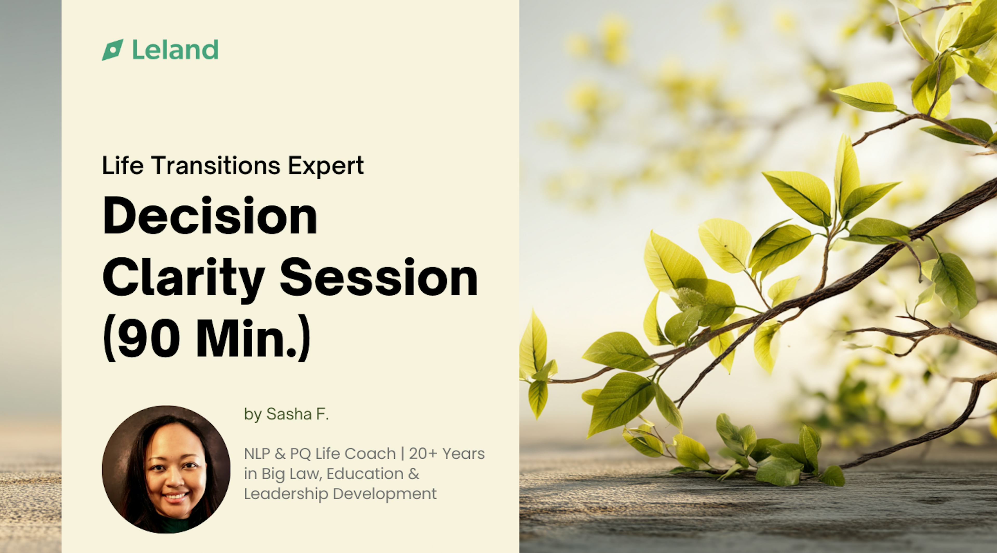 Decision Clarity Session (90 Minutes)