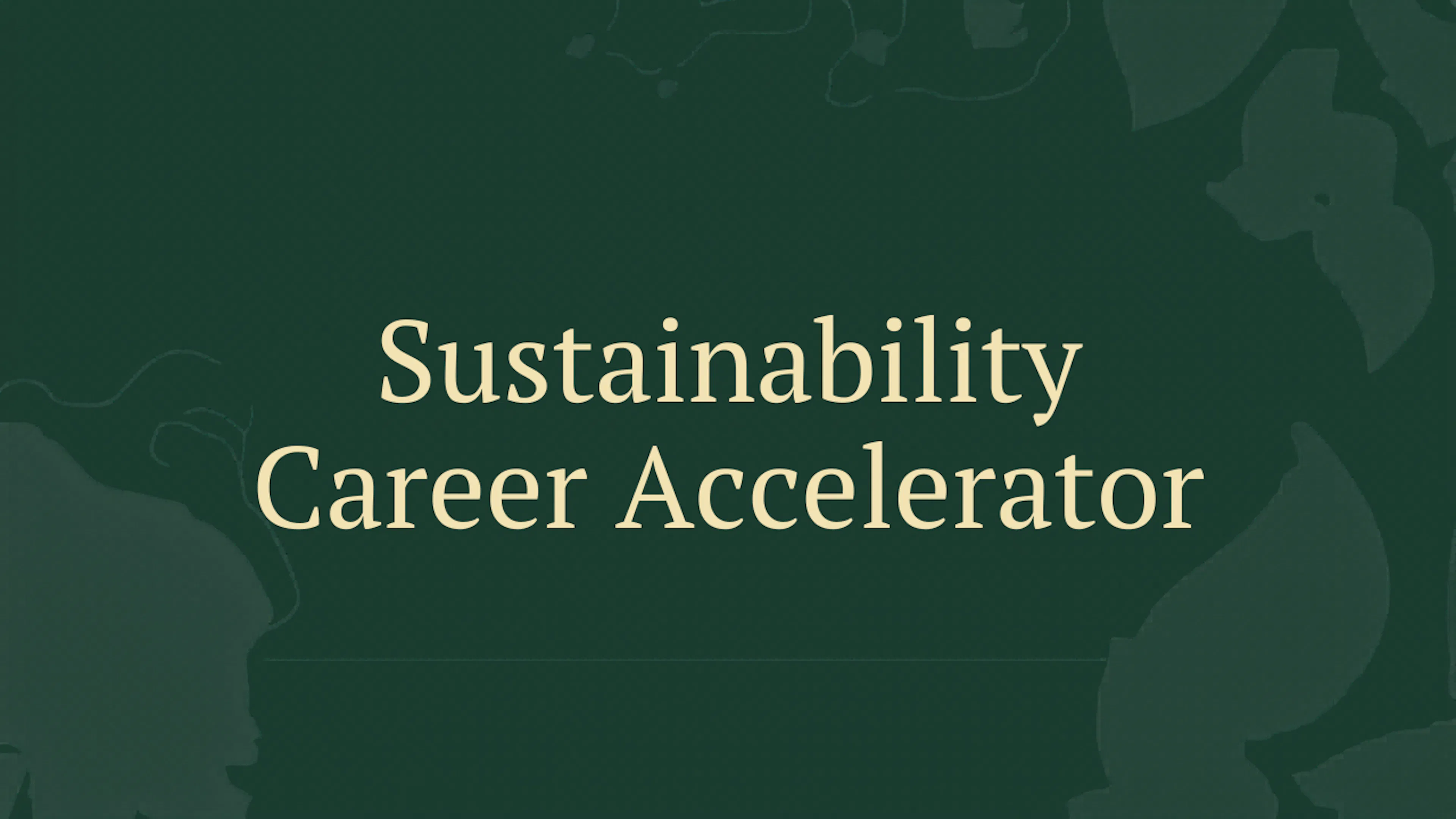 Sustainability Career Accelerator