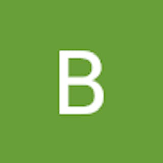 Bri B.
