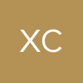Xinghua Chen S.