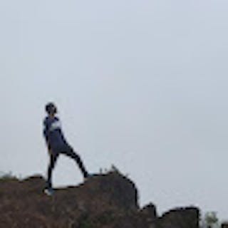 Hemanth N.