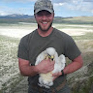 Joshua N.