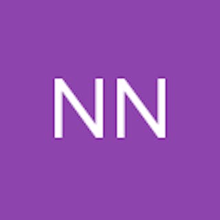 Nesy N.