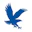 Embry-Riddle Aeronautical University Logo