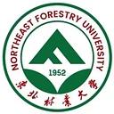 Northeast Forest University Logo